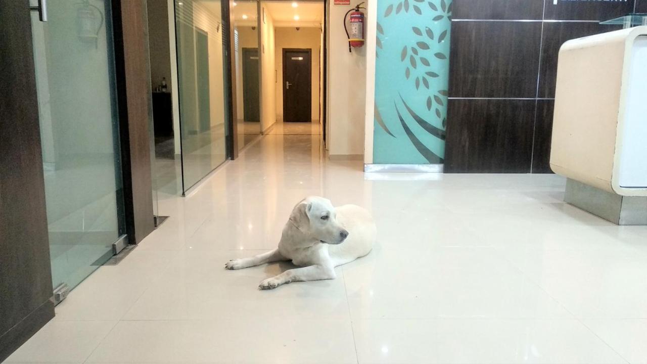 होटल Sai Srushti By Neem Square 3*