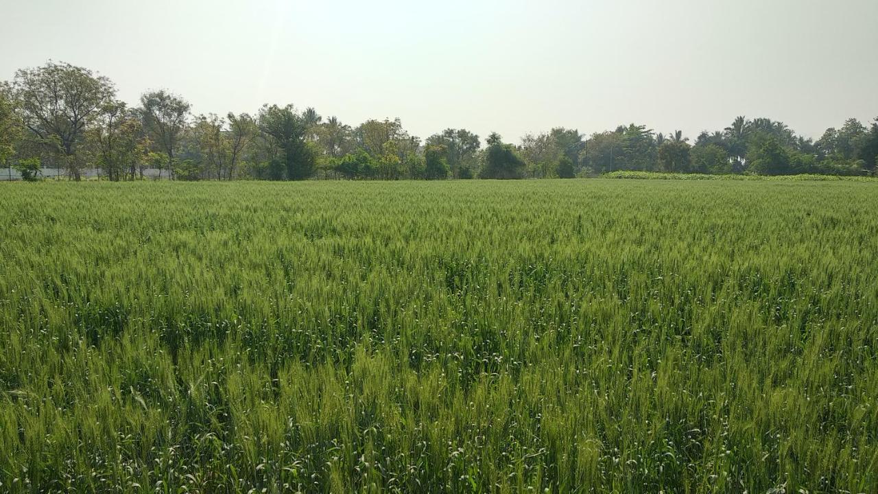 Sai Srushti By Neem Square