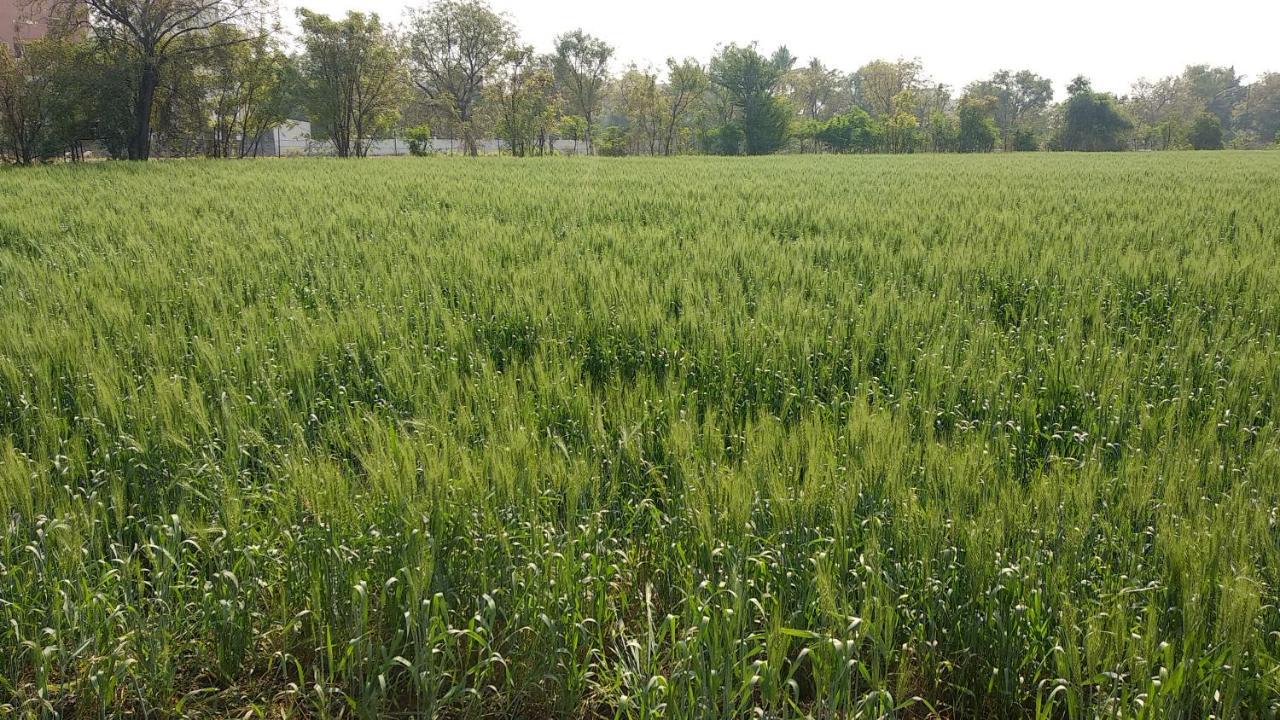 Sai Srushti By Neem Square होटल 3*